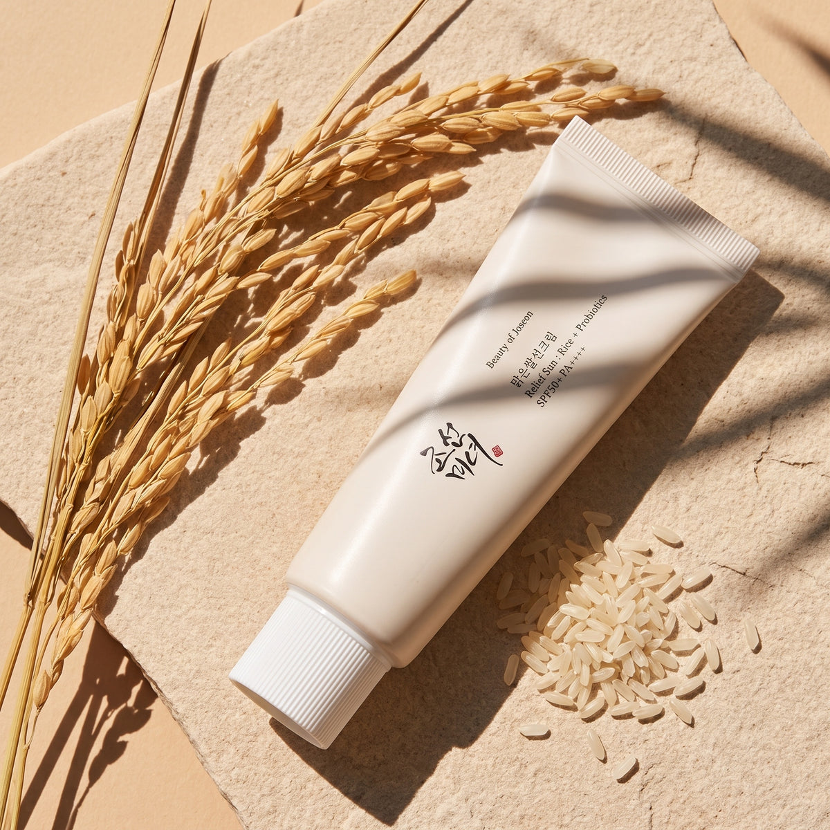 Beauty of Joseon Relief Sun Rice + Probiotics liegt im Sonnenlicht auf hellem Sandstein, daneben Reisähren und Reiskörner